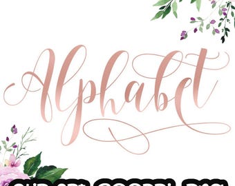 Rosa Alphabet Clip Art, Rosa Folienalphabet, digitale Clipart, Schrift, Buchstabenkarten, einladungsrt, PNG