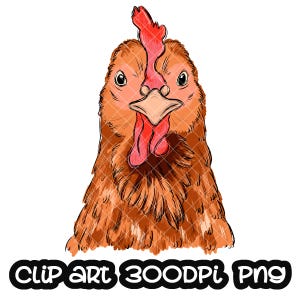 Chicken Sublimation PNG Hand Drawn Design Digital Art Download