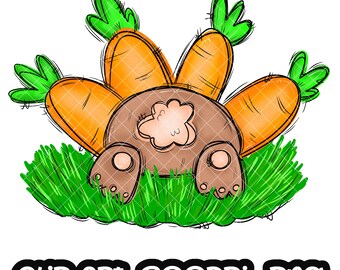 Bunny Easter Sublimation Carrot PNG Hand Drawn Design