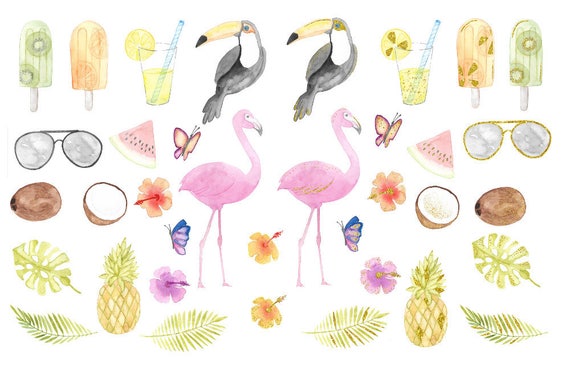 Tropical Clip Art,Flamingo,Toucan,Pineapple,Butterfly,Coconut,Watermelon,Flowers,Leaves,Gold Free Commercial Use PNG Buy 3 for 9 USD