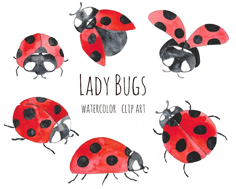Lady Bugs, Insects, Handpainted Watercolor Clip Art INSTANT DOWNLOAD - Etsy