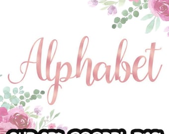 Rosa Alphabet Clip Art, Rosa Folienalphabet, digitale Clipart, Schrift, Buchstabenkarten, einladungsrt, PNG