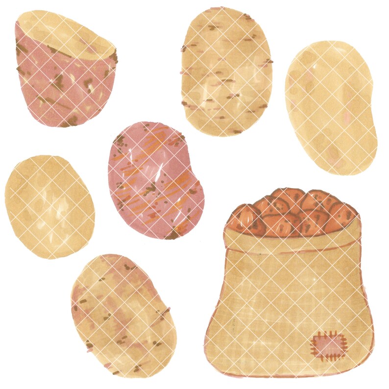 Potato Watercolor Digital Clip Art Clipart, Instant Download PNG - Etsy