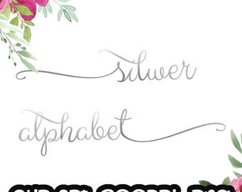 Könnte beinhalten: Silbernes Alphabet-Clipart mit floralem Rand. Die Buchstaben sind in einer kursiven Schriftart und in einer hellgrauen Farbe. Die Blumen sind rosa und grün.
