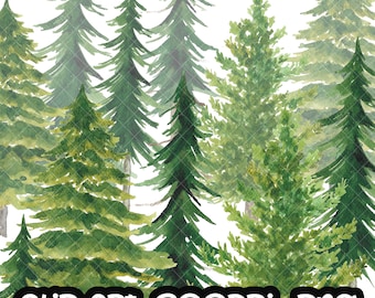 Pine Fir Trees Handpainted watercolor, christmas trees, winter, floral, digital clipart, cards Free Commercial Use PNG
