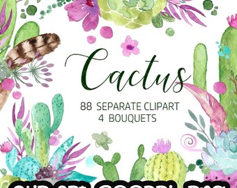 Handpainted watercolor Cactus, Cacti Succulents, plants, floral, digital clip art, feather Free Commercial Use PNG