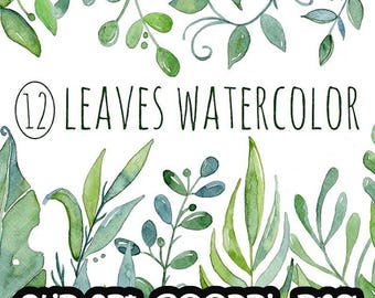 Handpainted watercolor, floral, leaves, leaf, digital clipart, cards, wedding, green Free Commercial Use PNG