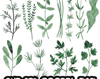 Herbs Clip art Watercolor Clipart PNG