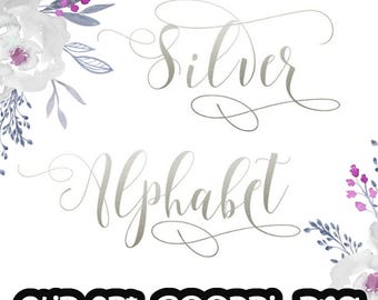 Könnte beinhalten: Silber Alphabet Clipart, 300 DPI PNG. Aquarell-Blumendesign mit silberner Schrift. Die Wörter "Silver Alphabet" sind in einer kursiven Schrift geschrieben.