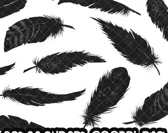 Black Feathers watercolor, Handpainted watercolor,  Feather digital clipart, Halloween PNG