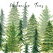 Pine Fir Trees Handpainted watercolor, christmas trees, winter, floral, digital clipart, cards Free Commercial Use PNG 