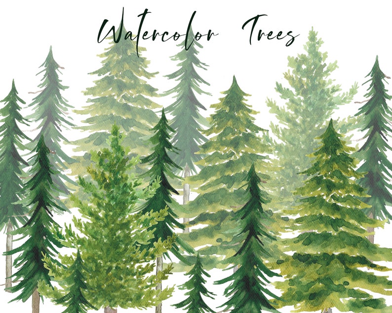 Pine Fir Trees Handpainted watercolor, christmas trees, winter, floral, digital clipart, cards Free Commercial Use PNG 