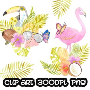 Tropical Clip Art,Flamingo,Toucan,Pineapple,Butterfly,Coconut,Watermelon,Flowers,Leaves,Gold Free Commercial Use PNG