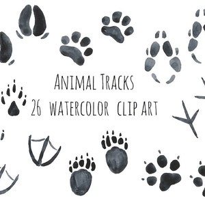 Animal Tracks, Woodland Animals footprints Clipart pack