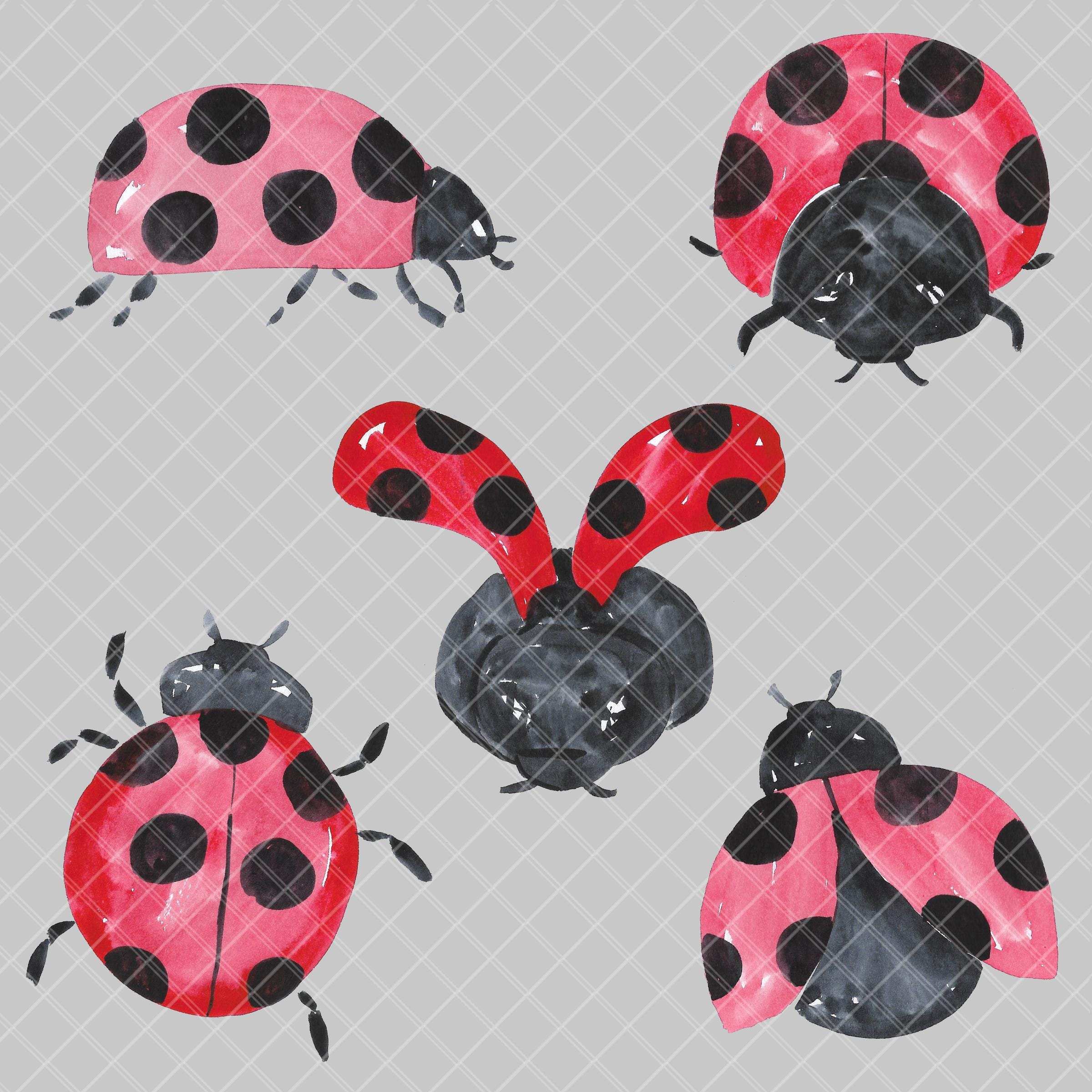 Lady Bugs, Insects, Handpainted Watercolor Clip Art INSTANT DOWNLOAD - Etsy