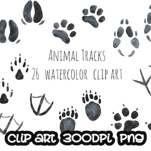 Tierspuren Natur Clip Art Handgemaltes Aquarell Clip Art SOFORTIGER DOWNLOAD