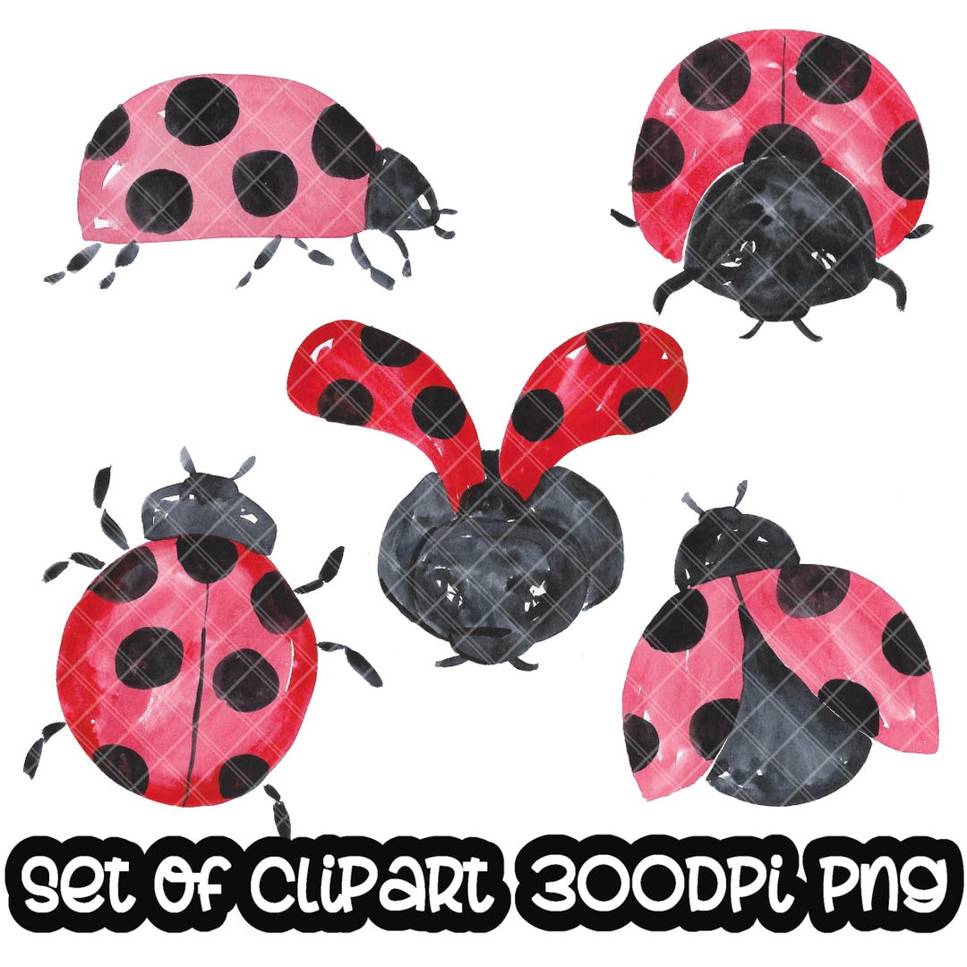 Lady Bugs, Insects, Handpainted Watercolor Clip Art INSTANT DOWNLOAD - Etsy