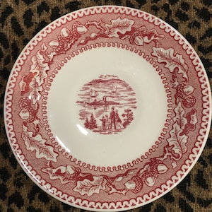 1965 Royal Ironstone Pink Memory Lane Tea Saucer