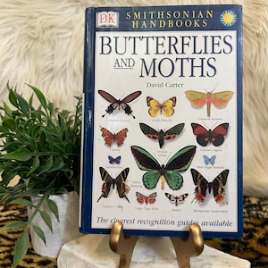 Manuales del Smithsonian: Mariposas y polillas, de David Carter, tapa dura, 2002