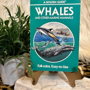 A Golden Guide Whales and Other Marine Mammals By George S. Fichter Illustrated by Barbara J. Hoopes Ambler Paperback 1990