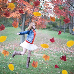 DIGITAL Overlay Autumn falling leaves, png for photographers, photography, photos