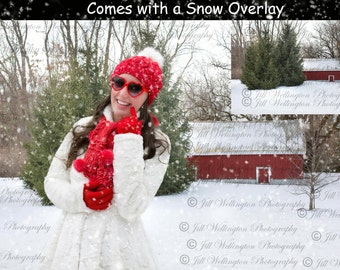 Digital Winter Background, backdrop, with red barn and pine trees for photographers, photography, photos.