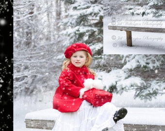 DIGITAL Background, backdrop, with snow overlay, jpg, for photographers, photography, Christmas, Winter, Snowy, Snow:  Snowy Bench