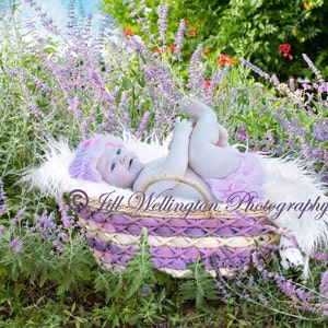 DIGITAL Background for Baby child infant newborn kid photo photography prop for photographers: Newborn Basket in Lavender