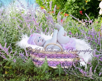 DIGITAL Background for Baby child infant newborn kid photo photography prop for photographers: Newborn Basket in Lavender