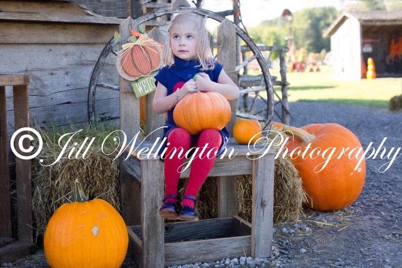 DIGITAL Background for Baby child infant newborn kid photo photography prop for photographers: Fall Pumpkin Chair image 1