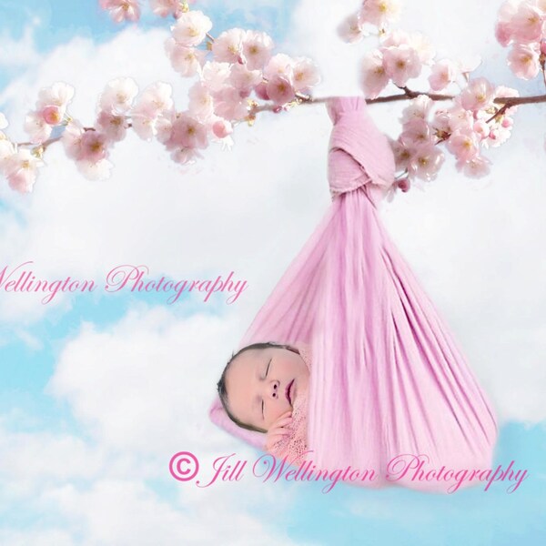DIGITAL Background for Baby child infant newborn kid photo photography prop for photographers: Cherry Blossom Newborn Sling
