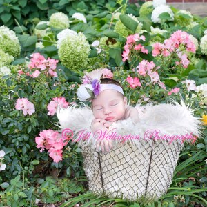 DIGITAL Background for Baby child infant newborn kid photo photography prop for photographers: Newborn Basket in Pink Garden