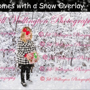 DIGITAL background, backdrop, winter, Christmas, Xmas, for photographers, photography, photos, with digital snow overlay: Snow-Laden Trees