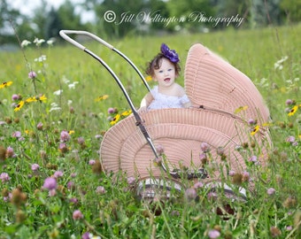 DIGITAL fond pour bébé enfant nourrisson nouveau-né enfant photo photographie accessoire pour les photographes : boguet de bébé en osier rose en fleurs sauvages