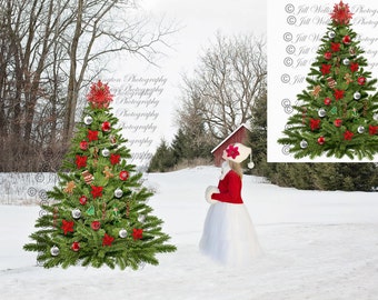 DIGITAL Christmas Tree Overlay PNG for photographers, photography, Christmas: Christmas Tree Overlay PNG