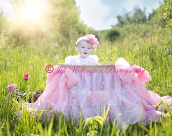DIGITAL Background for Baby child infant newborn kid photo photography prop for photographers: Pink Chiffon Bassinet