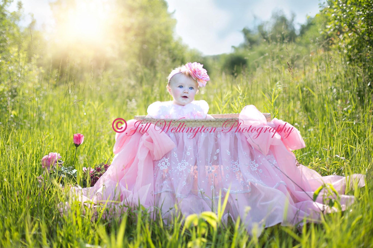 DIGITAL fond pour bébé enfant nourrisson nouveau-né enfant photo photographie accessoire pour les photographes : berceau de mousseline de soie rose