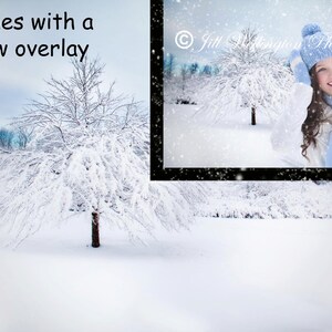 Digital snow background with snow overlay, snowy, winter, Christmas backdrop for photographers