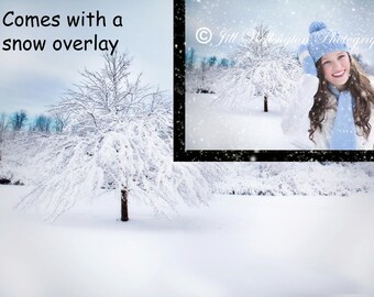 Digital snow background with snow overlay, snowy, winter, Christmas backdrop for photographers