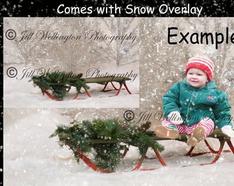 DIGITAL Background, backdrop for baby, child, infant, newborn, kid photography, winter, Christmas photo prop: Green Sled with Evergreens