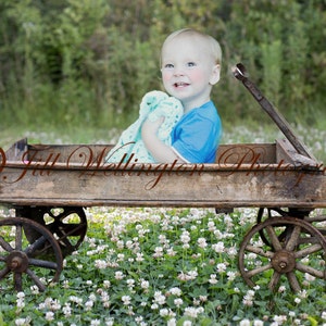 DIGITAL Background for Baby child infant newborn kid photo photography prop for photographers: Rustic Wagon in Clover