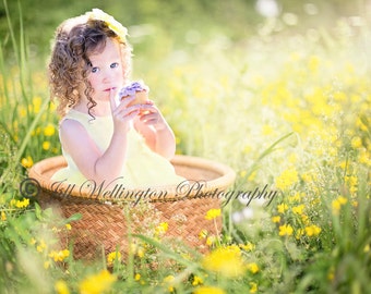 DIGITAL fond pour bébé enfant nourrisson nouveau-né enfant photo photographie accessoire pour les photographes : panier de fleurs sauvages jaunes