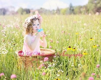 DIGITAL fond pour bébé enfant nourrisson nouveau-né enfant photo photographie accessoire pour les photographes : panier de fleurs sauvages