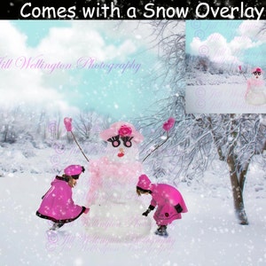 DIGITAL Winter Background, backdrop, snow woman, snowman, snowy, for children, photographers, photography, photos, composites