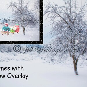 Digital Snow Background with snow overlay, snowy, winter, backdrop for photographers