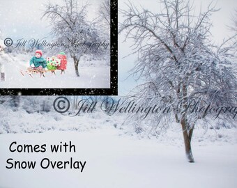 Digital Snow Background with snow overlay, snowy, winter, backdrop for photographers