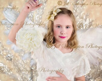 DIGITAL Angel wings Overlay PNG for Christmas portraits, children, kids, babies, infants, newborns for photography: Feather Angel Wings