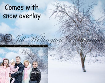 Digital snow background, winter, snowy, comes with snow overlay for photographers