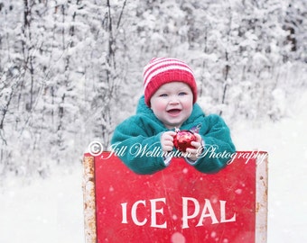 DIGITAL Background for Baby child infant newborn kid photo photography prop for photographers: Ice Pal Crate in Snow