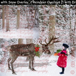 DIGITAL Background package with Reindeer pngs, snow overlay, for photography, Christmas, winter: Reindeer Overlay & Background package